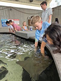 Children's Aquarium Dallas at Fair Park photo 3