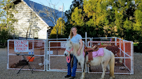 The Little Country Farm Mobile Petting Zoo
