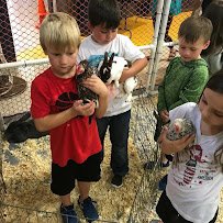 The Little Country Farm Mobile Petting Zoo photo 2