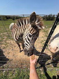 The Little Country Farm Mobile Petting Zoo photo 3