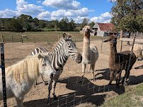The Little Country Farm Mobile Petting Zoo photo 4