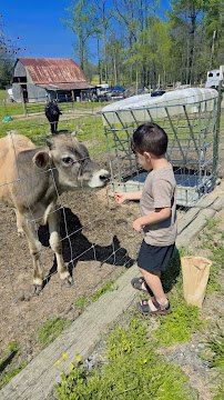 The Little Country Farm Mobile Petting Zoo photo 6