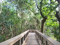 Gumbo Limbo Nature Center photo 4