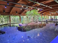 Gumbo Limbo Nature Center photo 5