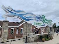 The Buffalo Zoo