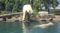 The Buffalo Zoo photo 2