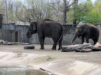 The Buffalo Zoo photo 4