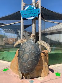 Living Coast Discovery Center photo 3