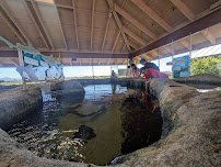 Living Coast Discovery Center photo 4