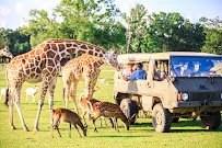 Global Wildlife Center