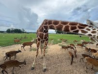 Global Wildlife Center photo 3