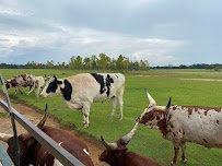 Global Wildlife Center photo 4