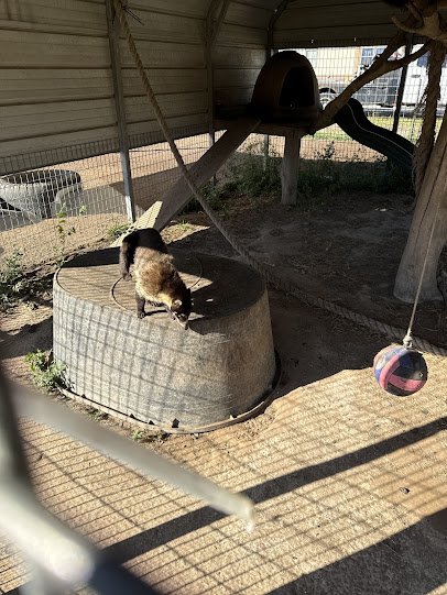 Jungle Jim's Farm photo 2