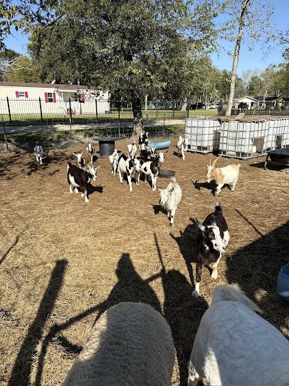 Jungle Jim's Farm photo 3