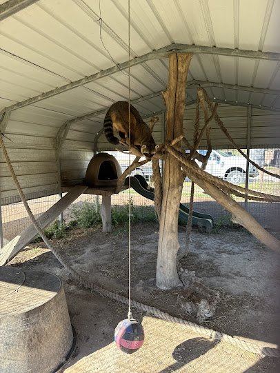Jungle Jim's Farm photo 4