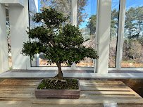 Como Park Zoo & Conservatory Visitor Center photo 5