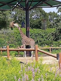 Como Park Zoo & Conservatory Visitor Center photo 6