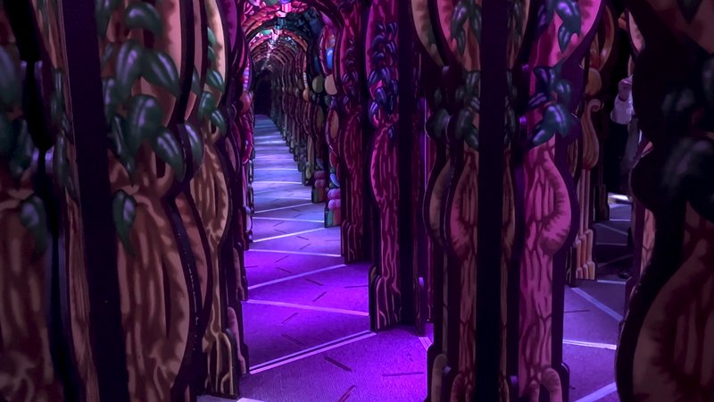Ripley's Adventure Maze photo 2