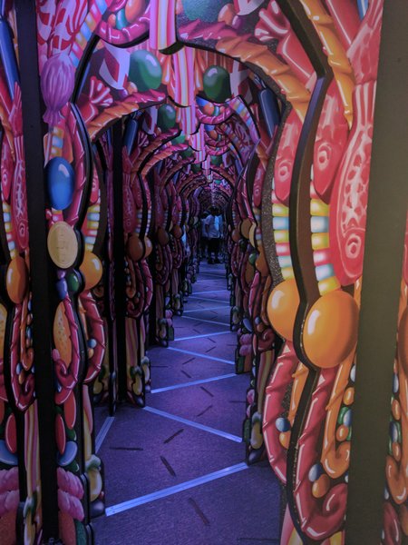 Ripley's Adventure Maze photo 3