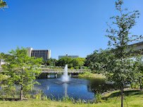 Coachman Park Splash Pad photo 3
