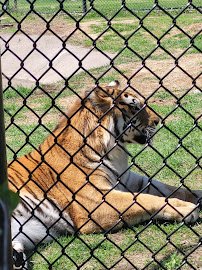 Pine Grove Zoo photo 3