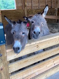 Pine Grove Zoo photo 5