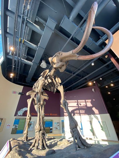 Kenosha Public Museum photo 6