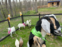 Ohana Fun Farm photo 3