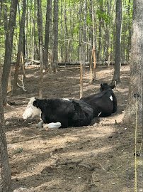 Ohana Fun Farm photo 6