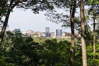 Bissell Tree House photo 3