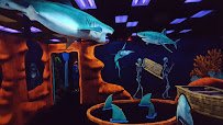 Tortuga Adventure Golf, LLC