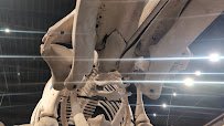 Museum of Osteology photo 2