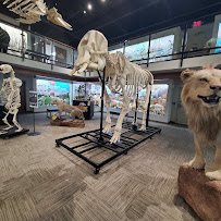 Museum of Osteology photo 4