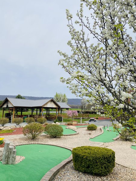 Bear Rock Junction photo 3