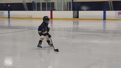 Valley Forum Ice Arena photo 2
