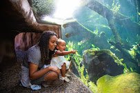 Palo Alto Junior Museum and Zoo