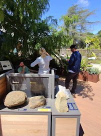 Palo Alto Junior Museum and Zoo photo 2