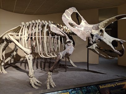 Milwaukee Public Museum photo 3