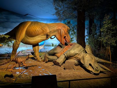 Milwaukee Public Museum photo 4