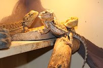 G&G Animals photo 2