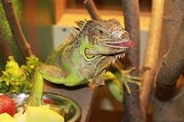 G&G Animals photo 5