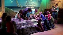SEA LIFE Arizona Aquarium photo 2