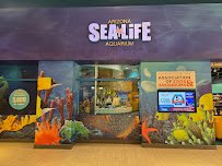 SEA LIFE Arizona Aquarium photo 6
