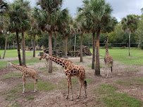 Jacksonville Zoo and Botanical Gardens