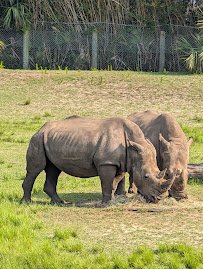 Jacksonville Zoo and Botanical Gardens photo 6