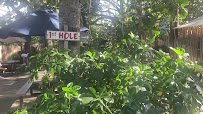 Tropics Mini Golf photo 2