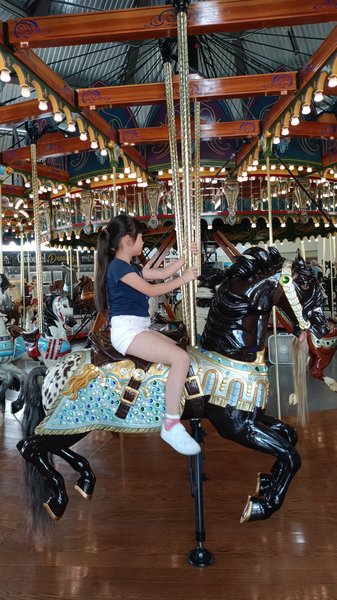 Gesa Carousel of Dreams photo 2