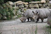 Southwick's Zoo photo 3