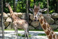 Southwick's Zoo photo 4