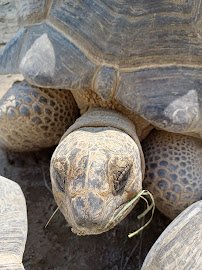 Southwick's Zoo photo 5